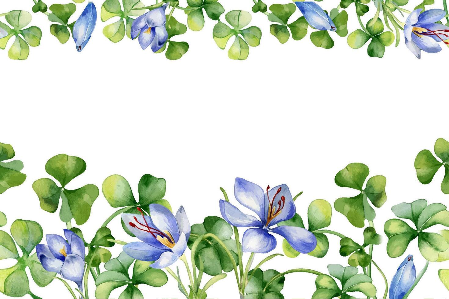 nahtlos Rand mit Safran und Kleeblatt Aquarell Illustration isoliert auf Weiß. gemalt Kräuter- Pflanzen und Blumen. Hand gezeichnet irisch Symbol. Design Element zum st Patrick Tag, Ostern, Paket. vektor