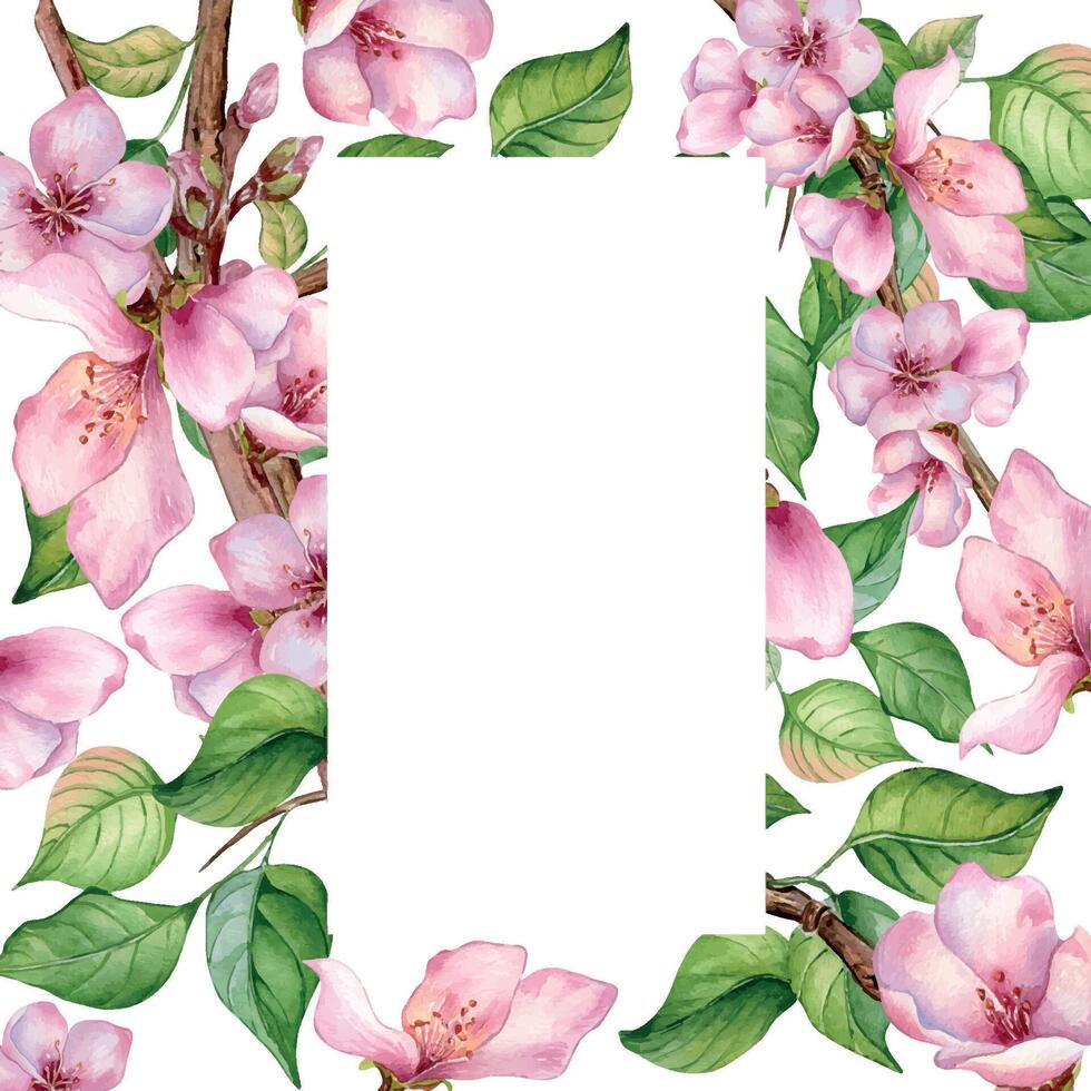 vattenfärg ram med rosa blomning gren isolerat på vit. design mall av blommig ram med rosa vit blommor hand ritade. element för bröllop inbjudan, kort, förpackning, märka produkt. vektor