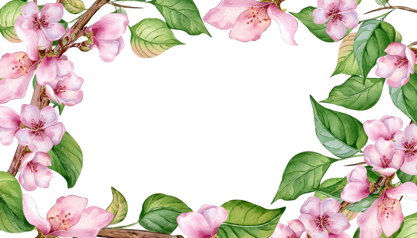 Aquarell Blumen- Tafel mit Rosa Blühen Ast isoliert auf Weiß. Design Vorlage von Blumen- Rahmen mit Rosa Weiß Blumen Hand gezeichnet. Element zum Hochzeit Einladung, Karte, Verpackung, Etikette Produkt vektor