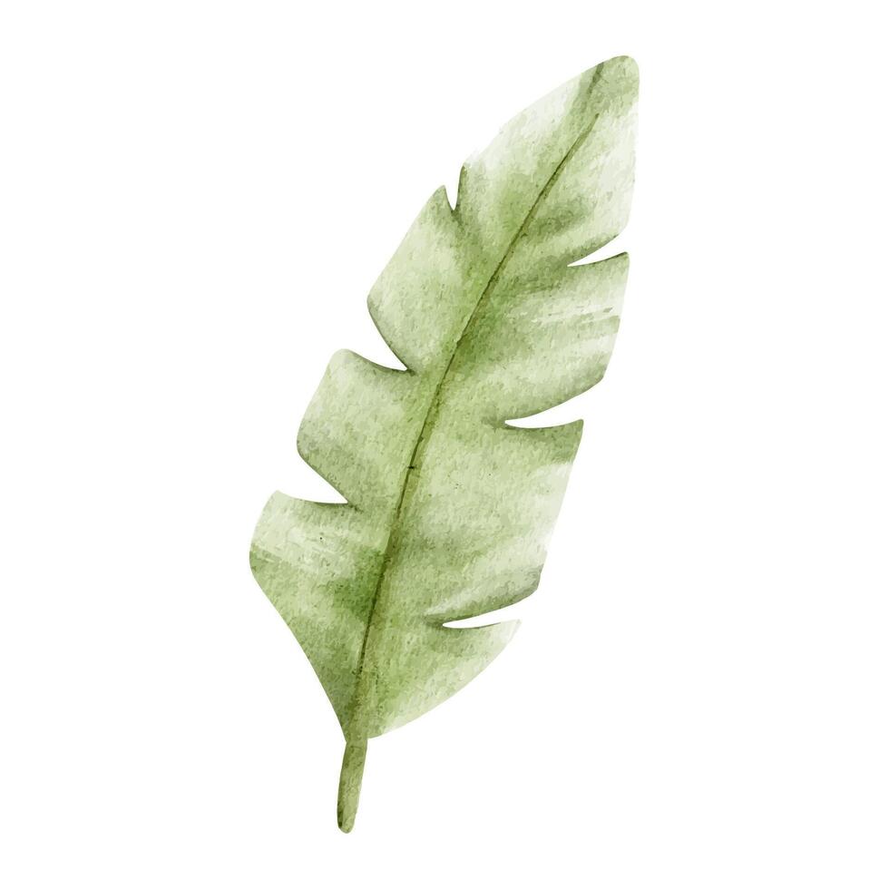 wenig Palme Baum. isoliert Hand gezeichnet Aquarell Illustration. ein Clip Art von tropisch Blätter von Banane Palme zum Kinder- Einladung Karten, Parteien, Baby Dusche, Dekoration von Kinder Räume vektor