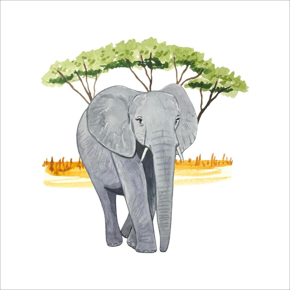 Aquarell Komposition mit Elefant im Savanne. tropisch Design. vektor