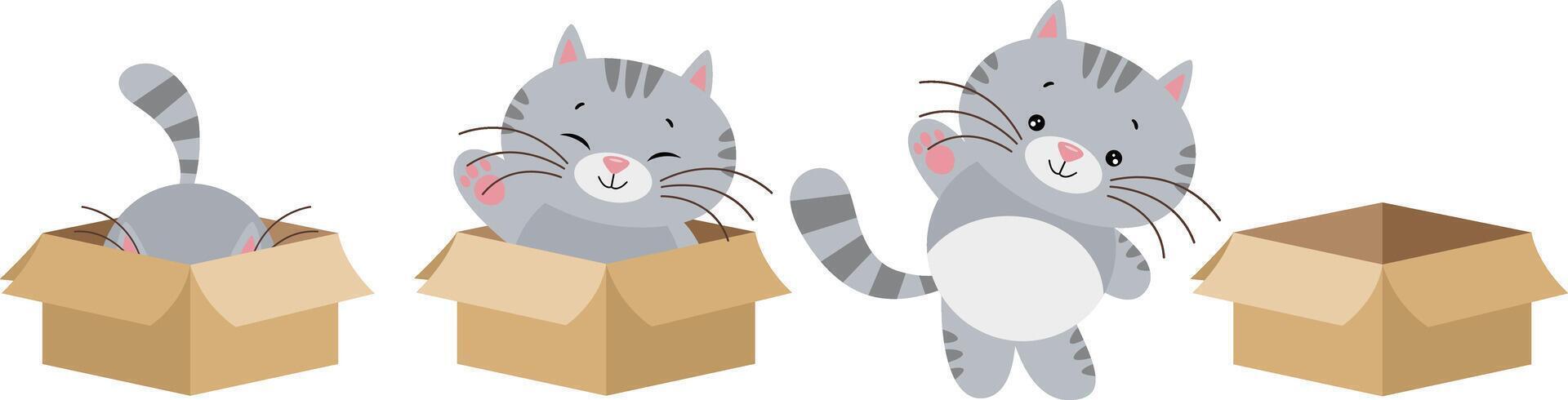 süß Katze im anders Positionen gehen aus ein Karton Box vektor