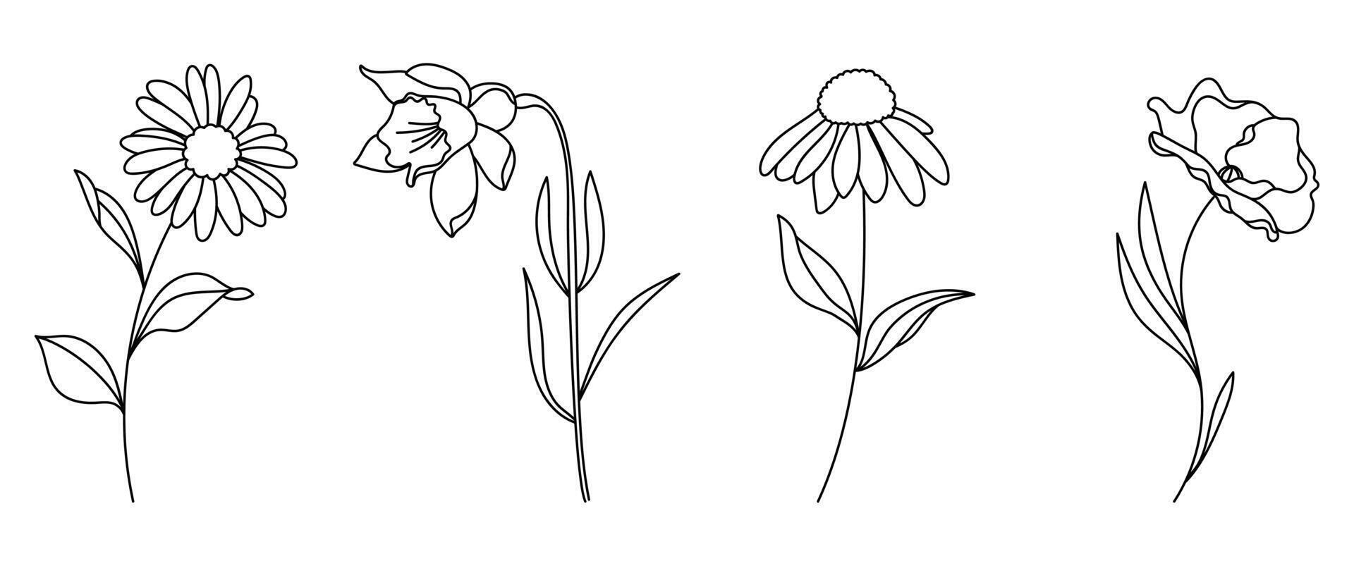 uppsättning botanisk hand dragen element vektor. samling av lövverk, gren, blommig, löv, vild blomma i linje konst. minimal stil blomma illustration design för logotyp, bröllop, inbjudan, dekor. vektor