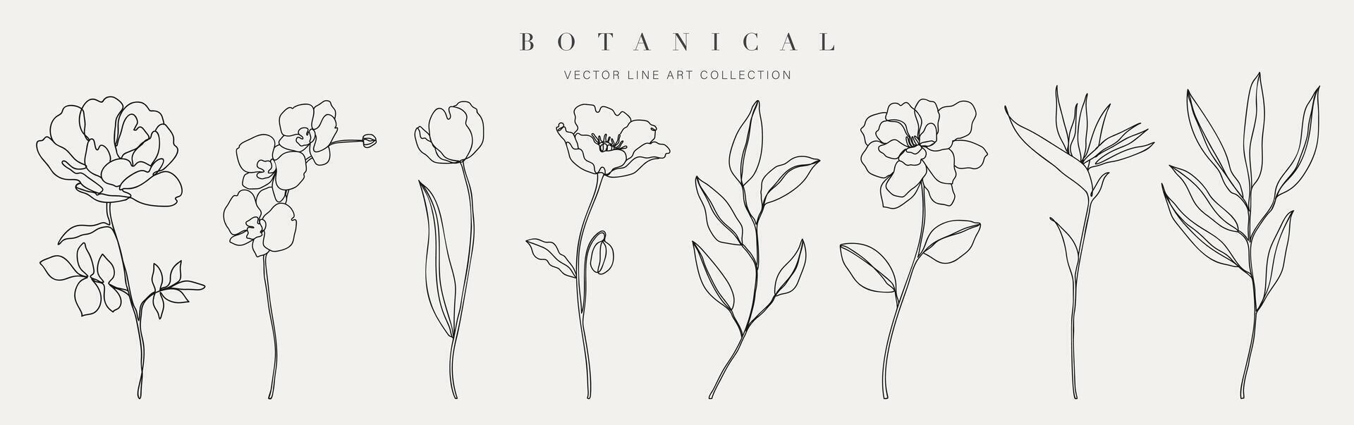 uppsättning botanisk hand dragen element vektor. samling av lövverk, gren, blommig, löv, vild blomma i ett linje konst. minimal stil blomma illustration design för logotyp, bröllop, inbjudan, dekor. vektor