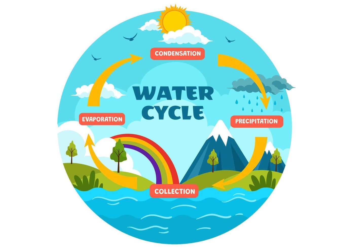 vatten cykel vektor illustration med avdunstning, kondensation, nederbörd till samling i jord naturlig miljö i platt tecknad serie bakgrund