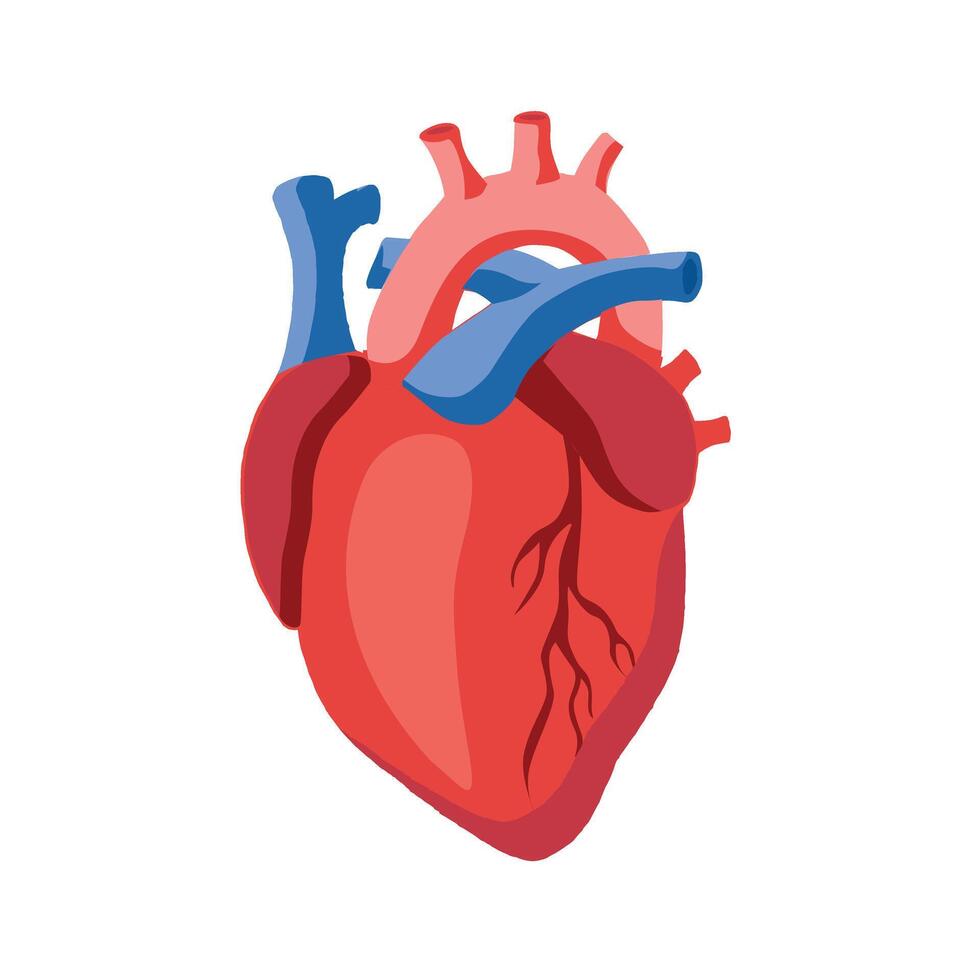 mänsklig hjärta ikon illustration vektor