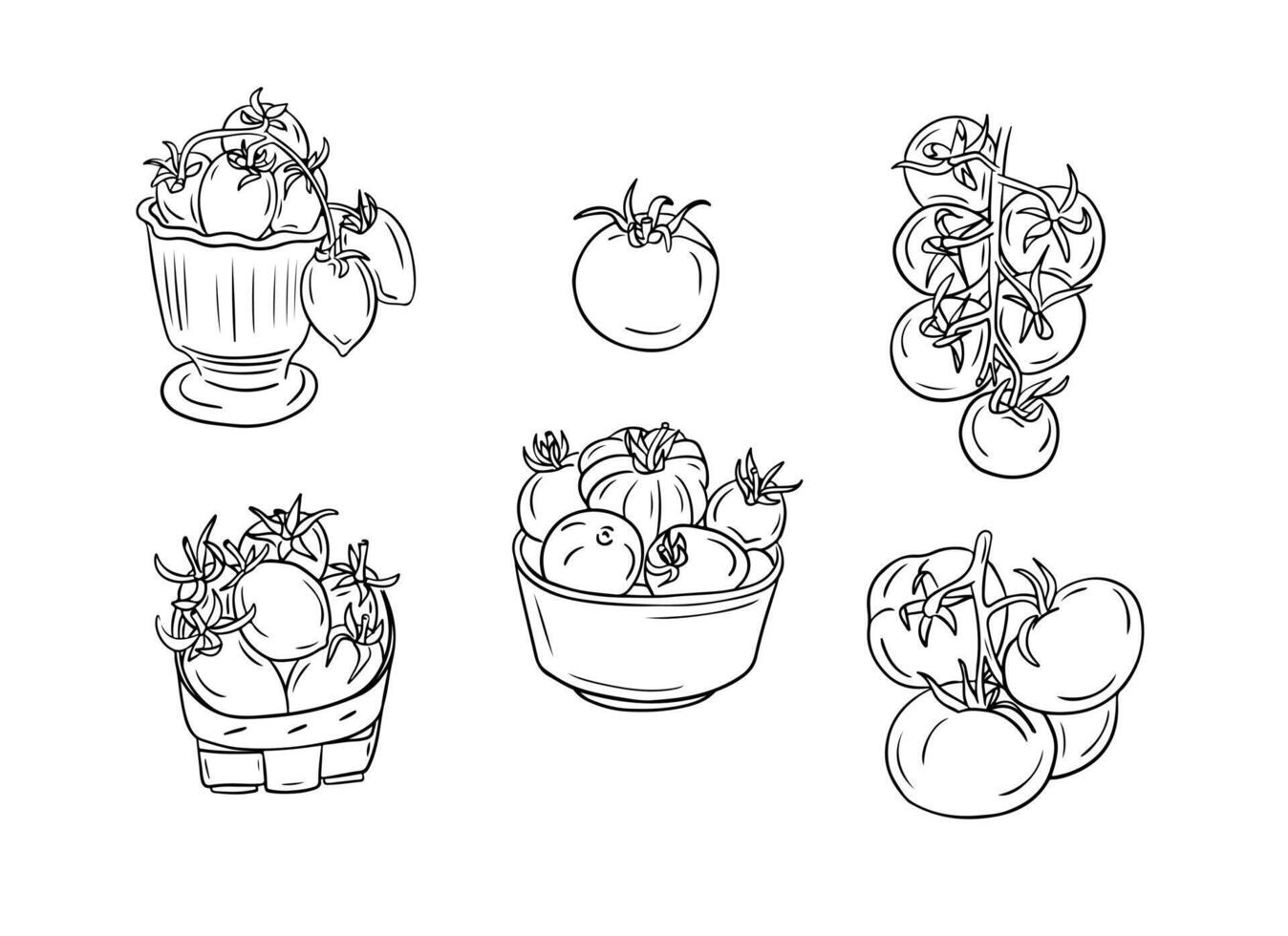einstellen von Hand gezeichnet skizzenhaft isoliert Tomaten. Gekritzel schwarz Kontur Gruppe von Gemüse im ein Schüssel, Korb und ein Ast von Sie auf Weiß Hintergrund. Ideal zum Färbung Seiten, Tätowierung, Muster vektor