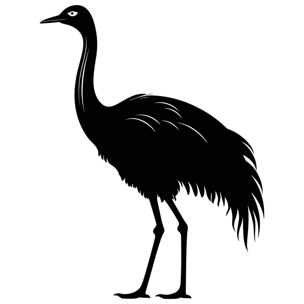 emu svart silhuett vektor, vit bakgrund. vektor