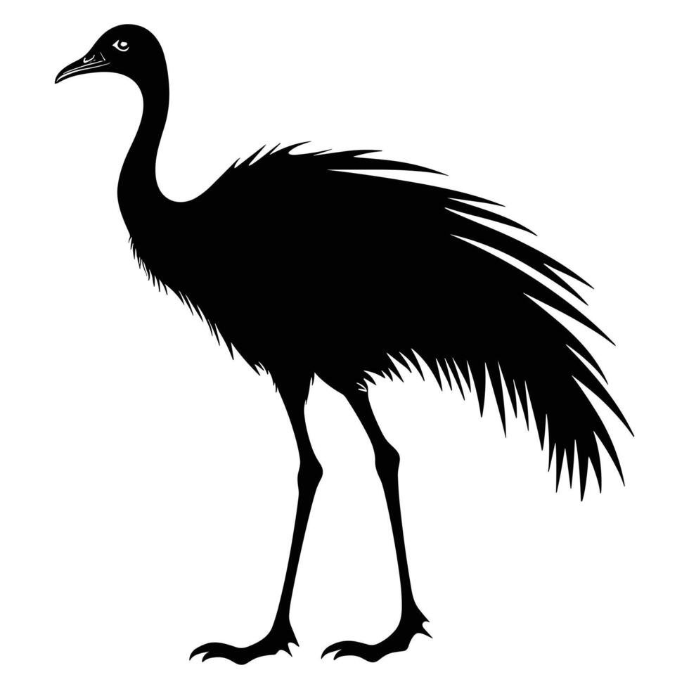 Emu schwarz Silhouette Vektor, Weiß Hintergrund. vektor