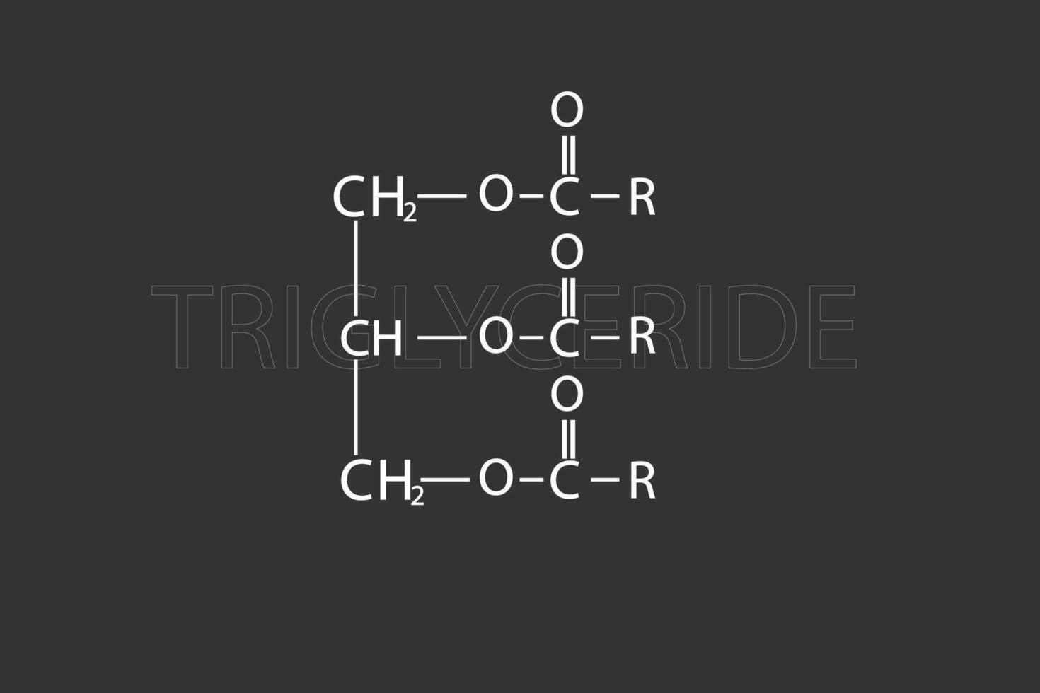 Triglycyrid molekular Skelett- chemisch Formel vektor