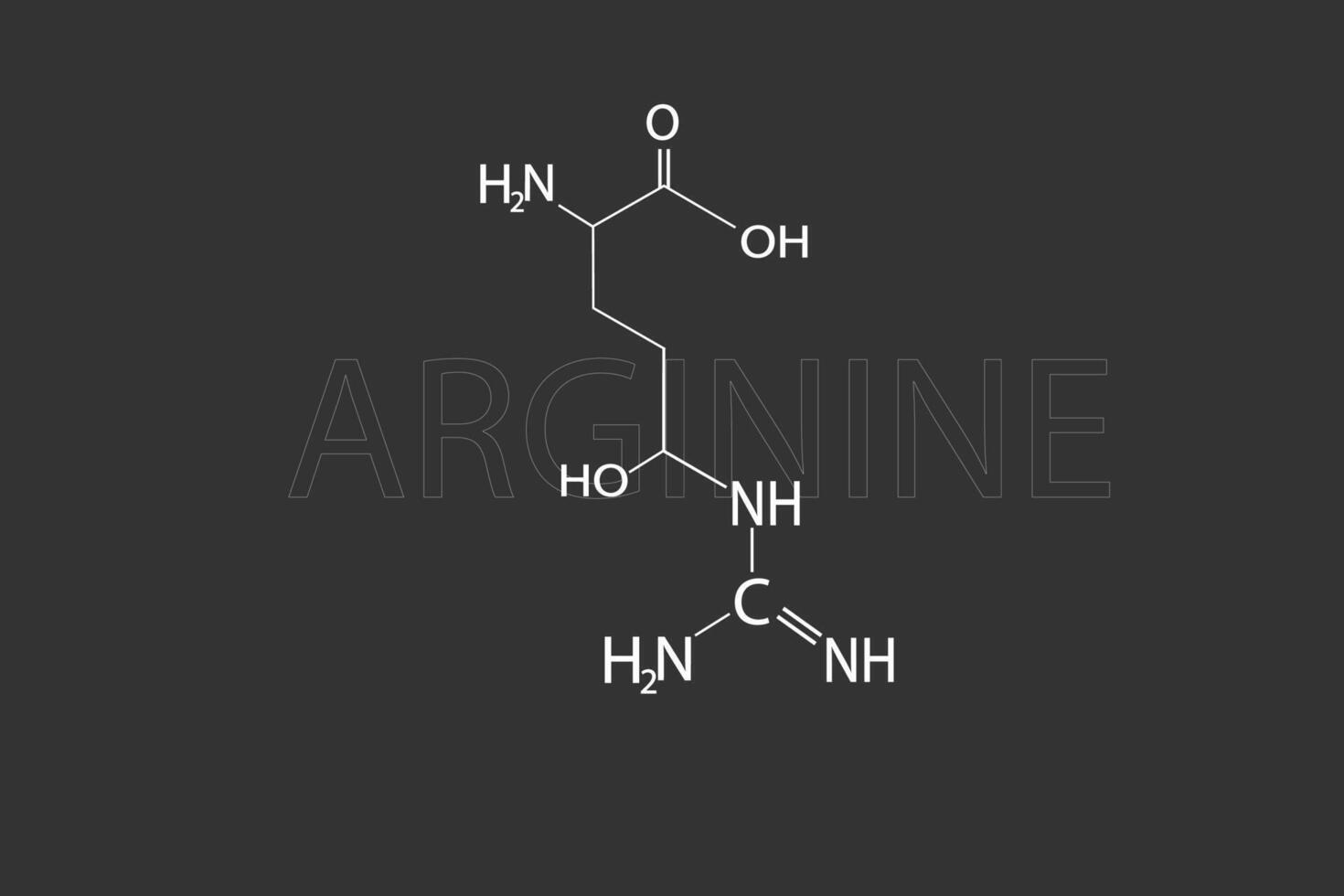 arginin molekyl skelett- kemisk formel vektor