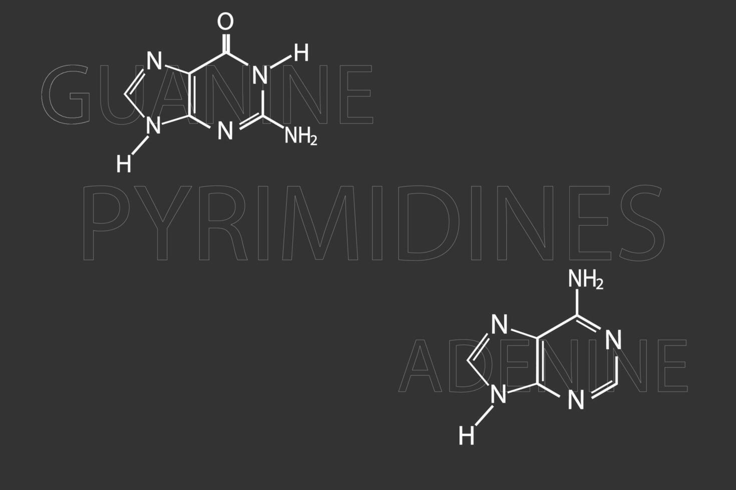 pyrimidiner molekyl skelett- kemisk formel vektor