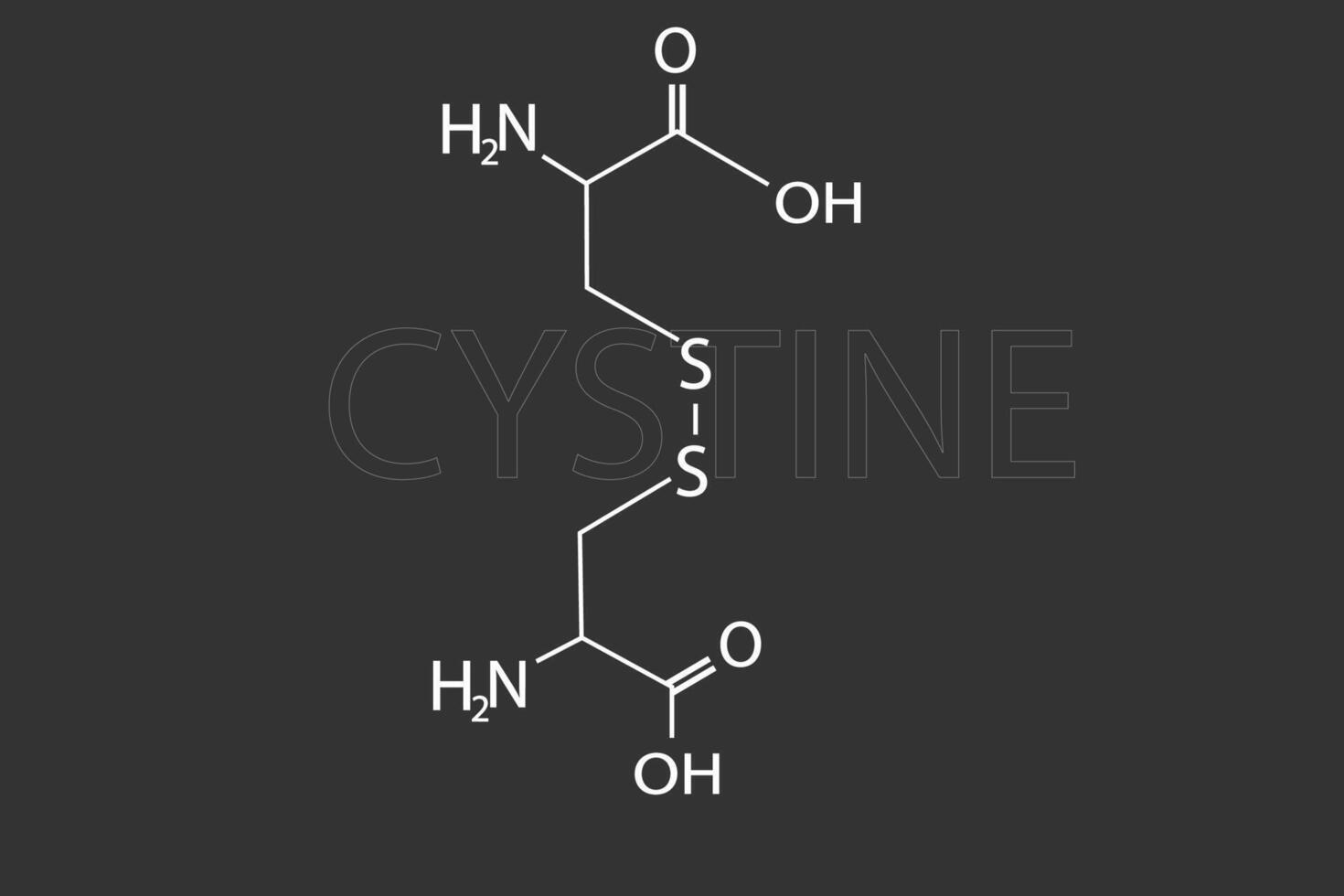 cystin molekyl skelett- kemisk formel vektor