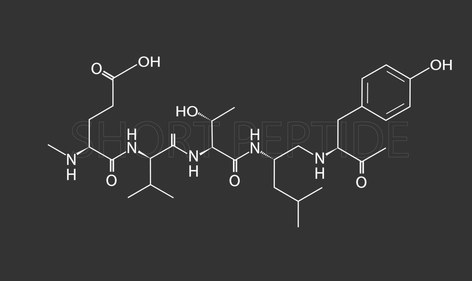 kort peptid molekyl skelett- kemisk formel vektor