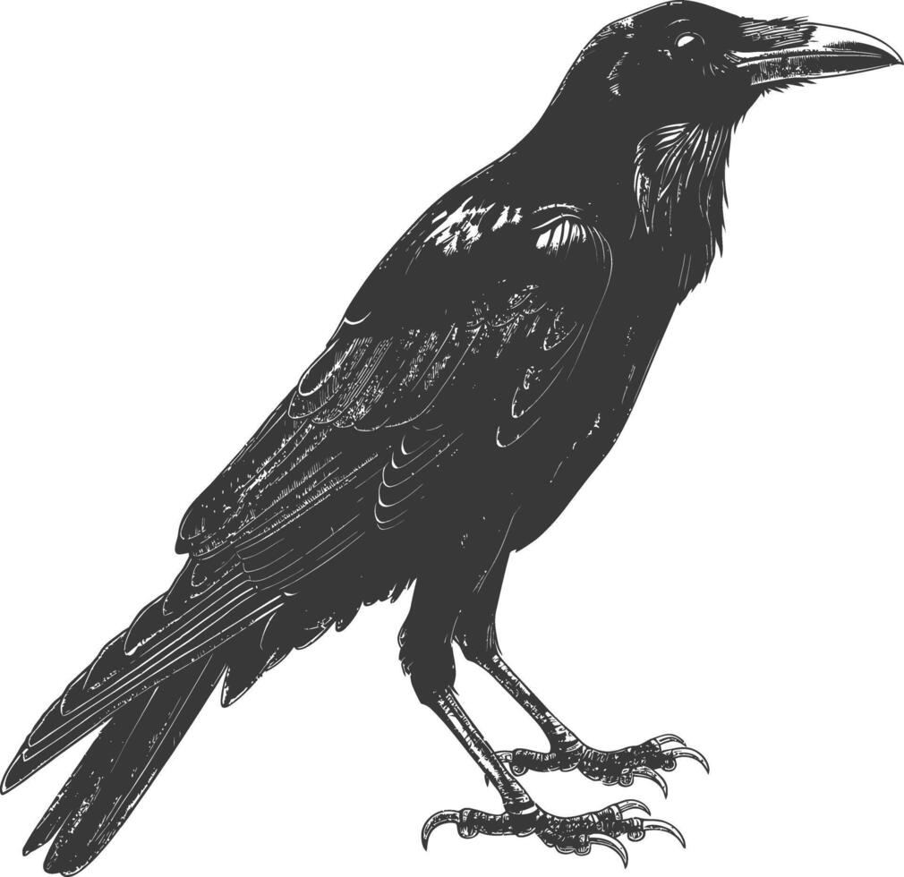 ai generiert Silhouette Krähe Vogel schwarz Farbe nur voll Körper vektor