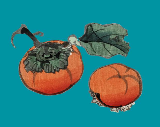 Persimmons av K? No Bairei (1844-1895). Digitalt förbättrad från vår egen ursprungliga 1913-upplagan av Bairei Gakan. vektor