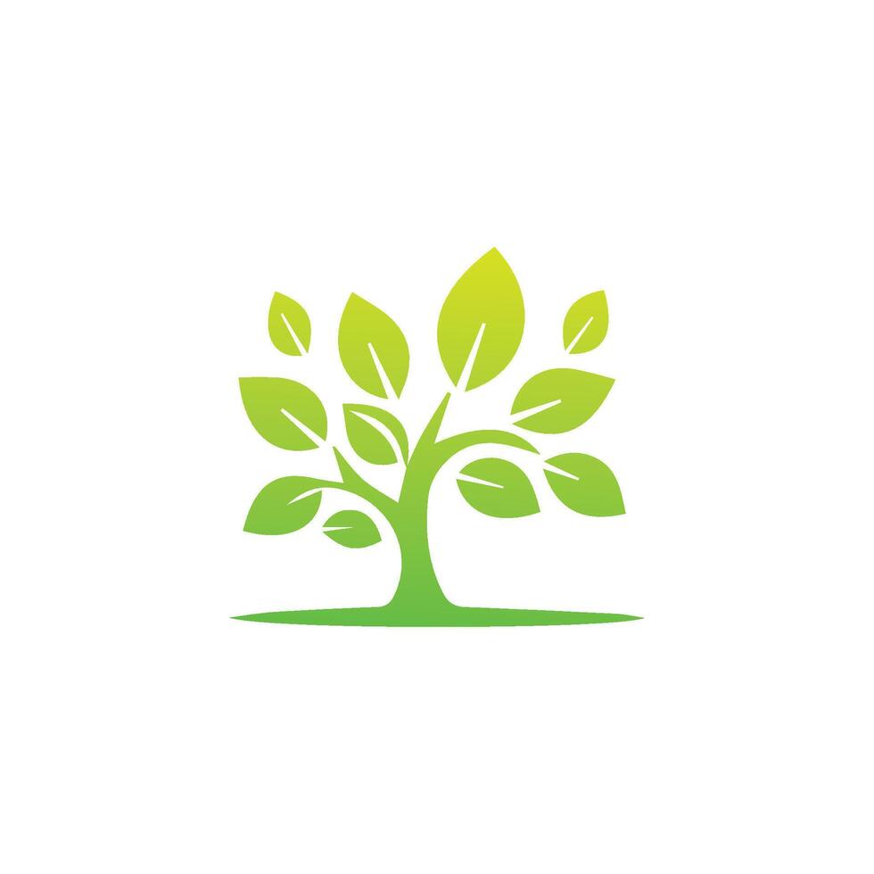 träd ikon begrepp av en stiliserade träd med löv, vektor illustration