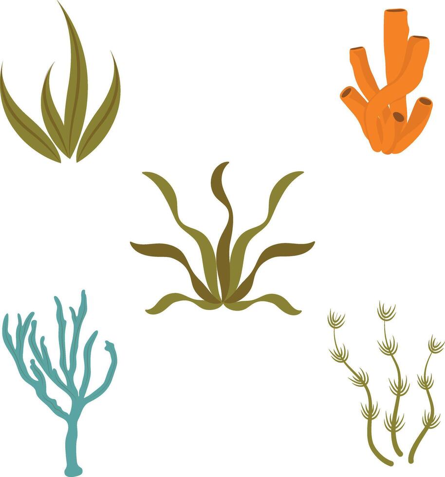 Koralle Riff unter Wasser Illustration. exotisch tropisch unterseeisch Pflanze. eben Vektor Illustration