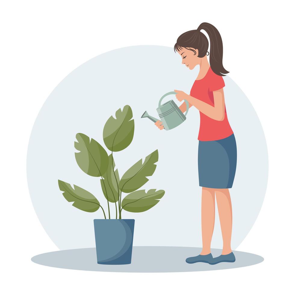 kvinna med en vattning kan och en hus växt i en pott. växt vård. vår illustration, vektor