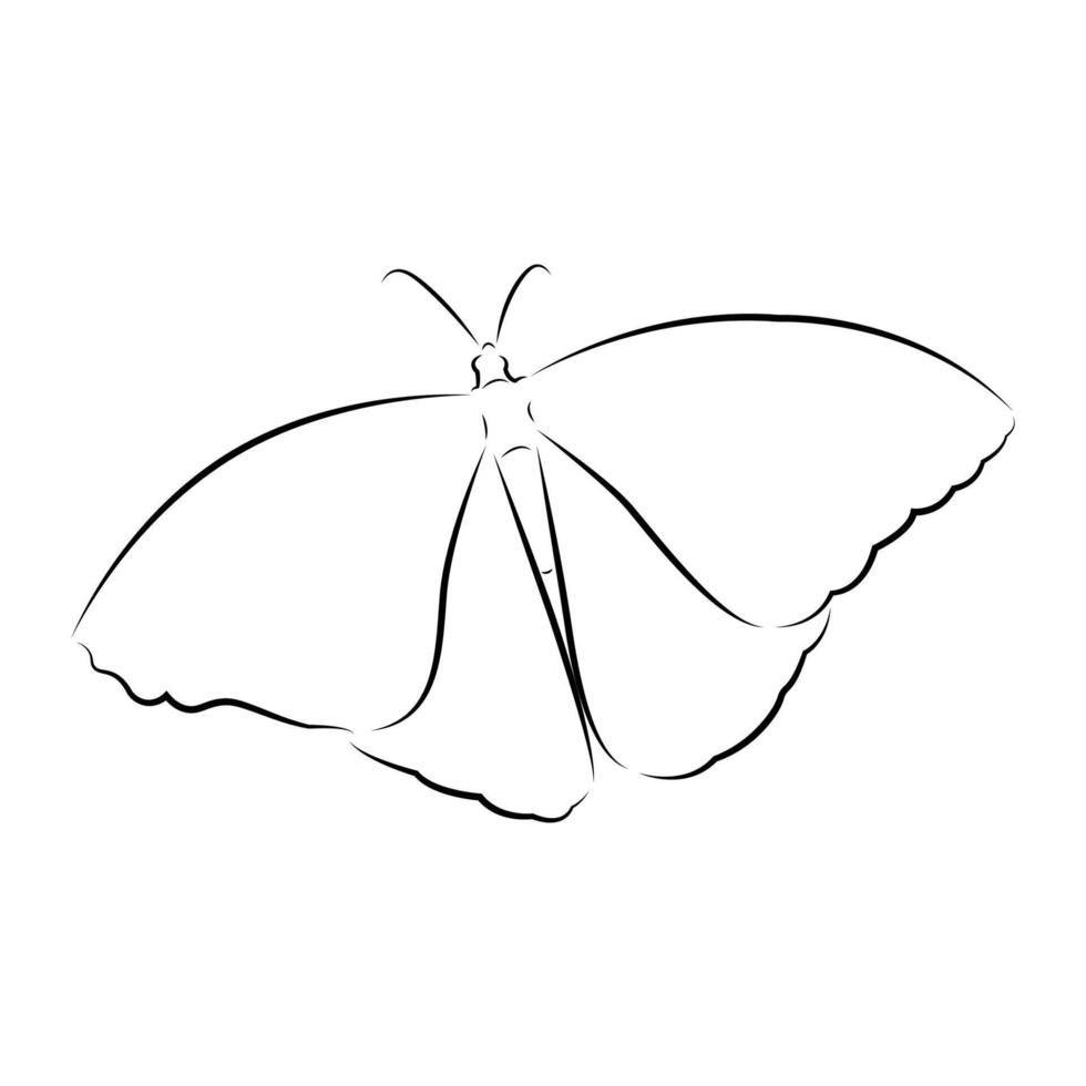 linje konst av en fjäril. enkel skiss skön djur. vektor