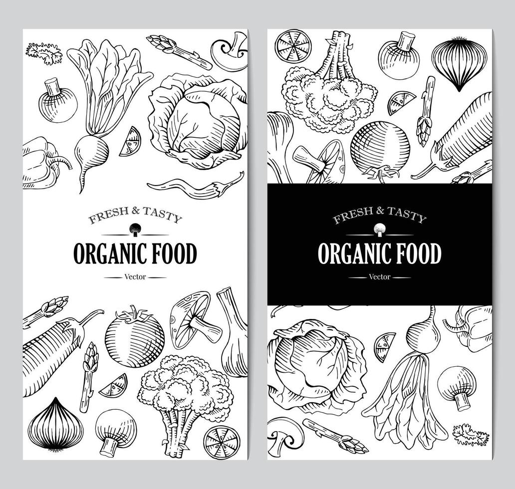 organisk vegetarian mat baner, rulla upp standee design mall, hand dragen illustration teckning vektor
