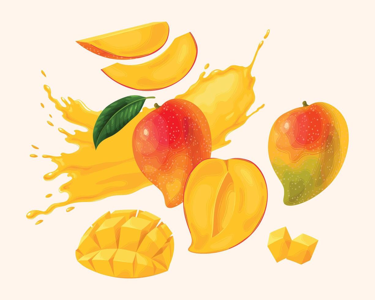 vektor uppsättning av mogen mango och dess skivor