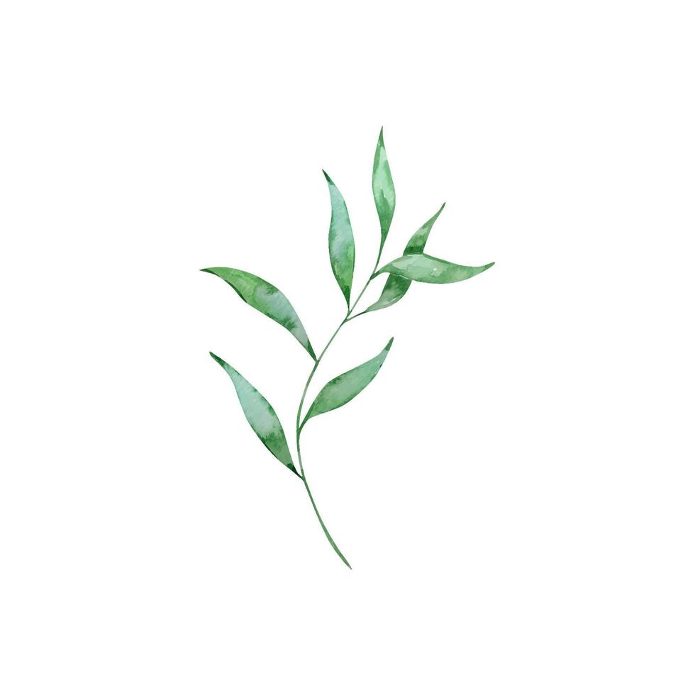 Aquarell tropisch Ast mit Blätter, Urwald Illustration vektor