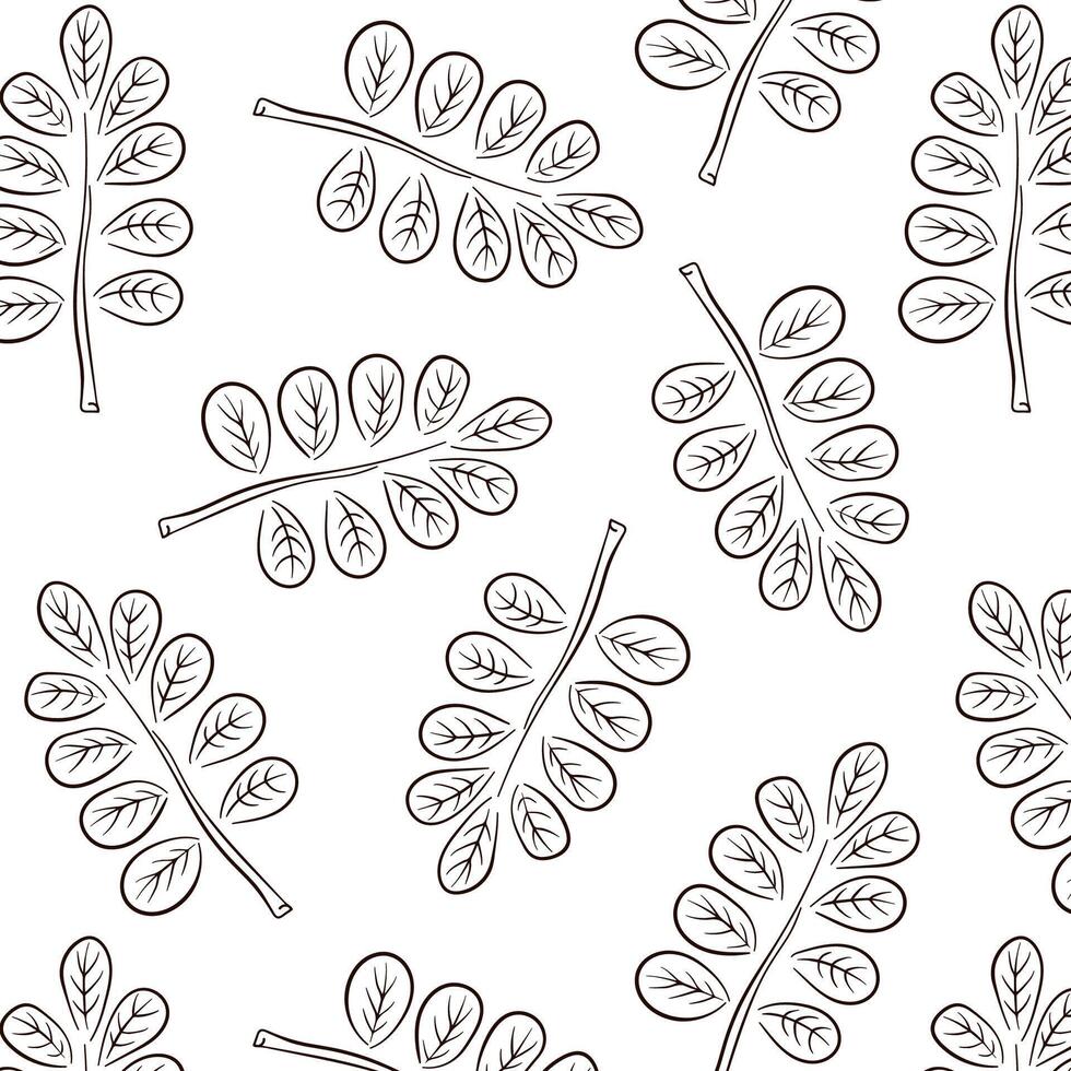 sömlös mönster med akacia blad i linje konst stil. design för tapet, textil, webb sida bakgrund, vår hälsning kort. vektor illustration på en vit bakgrund.
