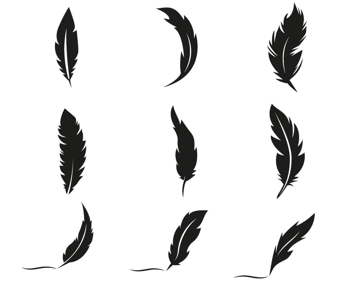 fjäder samling silhuett, svart gåspenna detaljerad vektor illustration