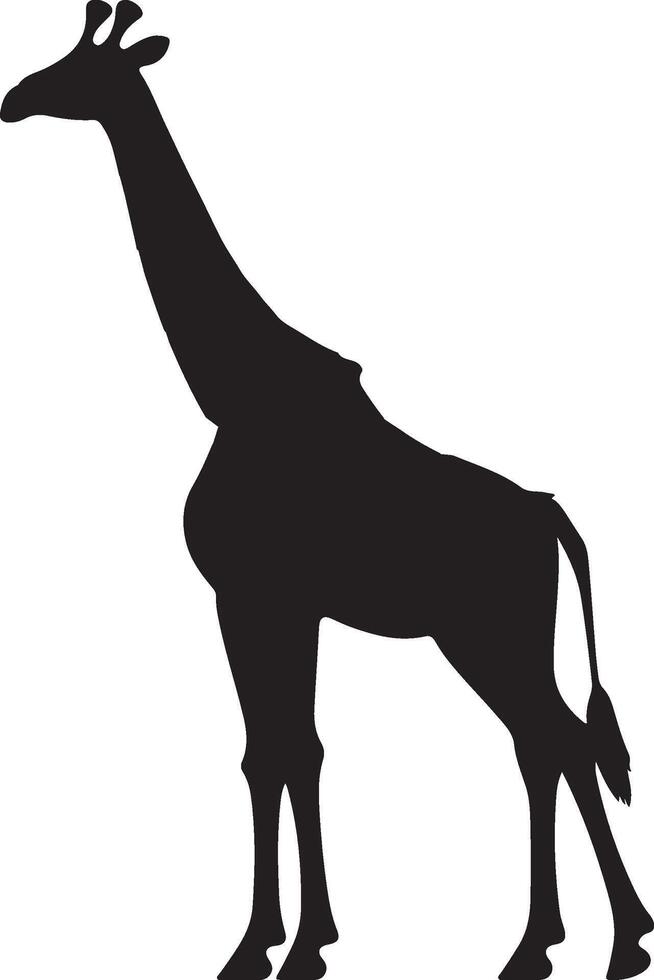 giraff silhuett vektor illustration vit bakgrund