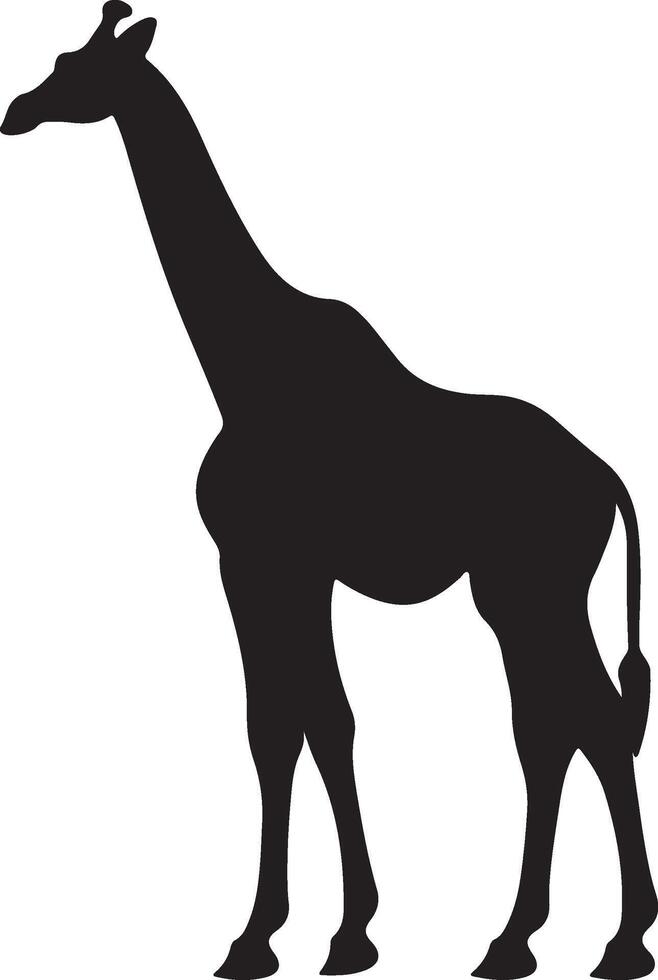 giraff silhuett vektor illustration vit bakgrund