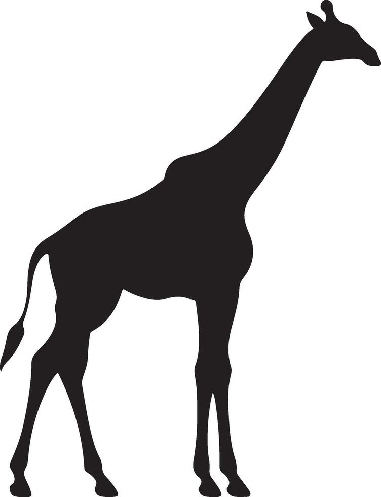 giraff silhuett vektor illustration vit bakgrund