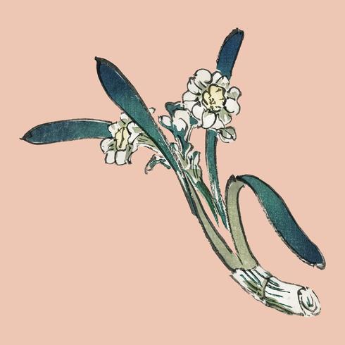 Bunchflower Daffodil von K? No Bairei (1844-1895). Digital verbessert von unserer eigenen Originalausgabe von Bairei Gakan (1913). vektor