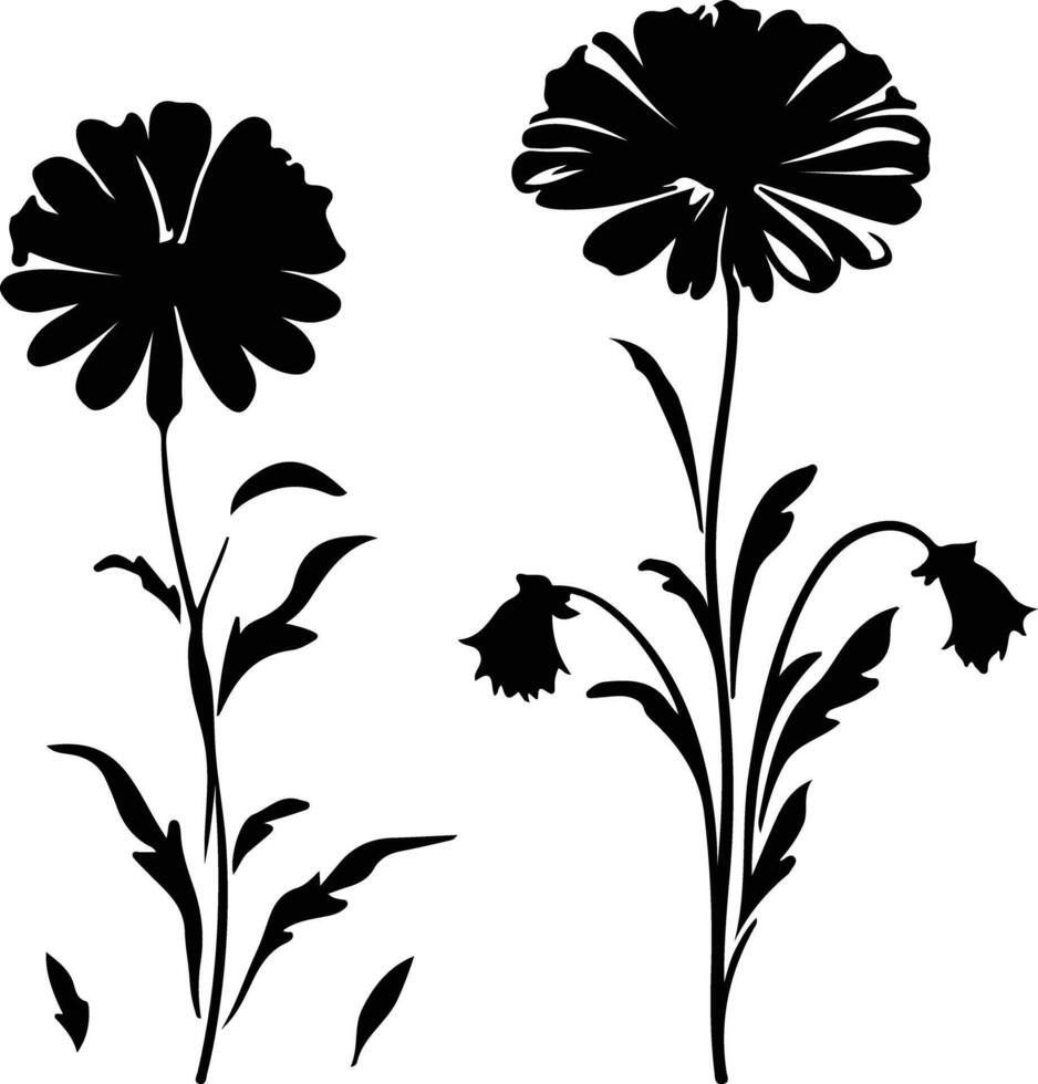 ai generiert Ringelblume schwarz Silhouette vektor