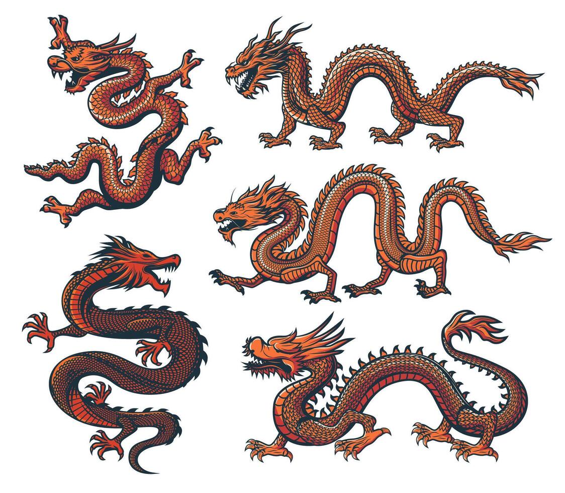 asiatisch Drachen, Chinesisch Tierkreis und orientalisch Kultur vektor