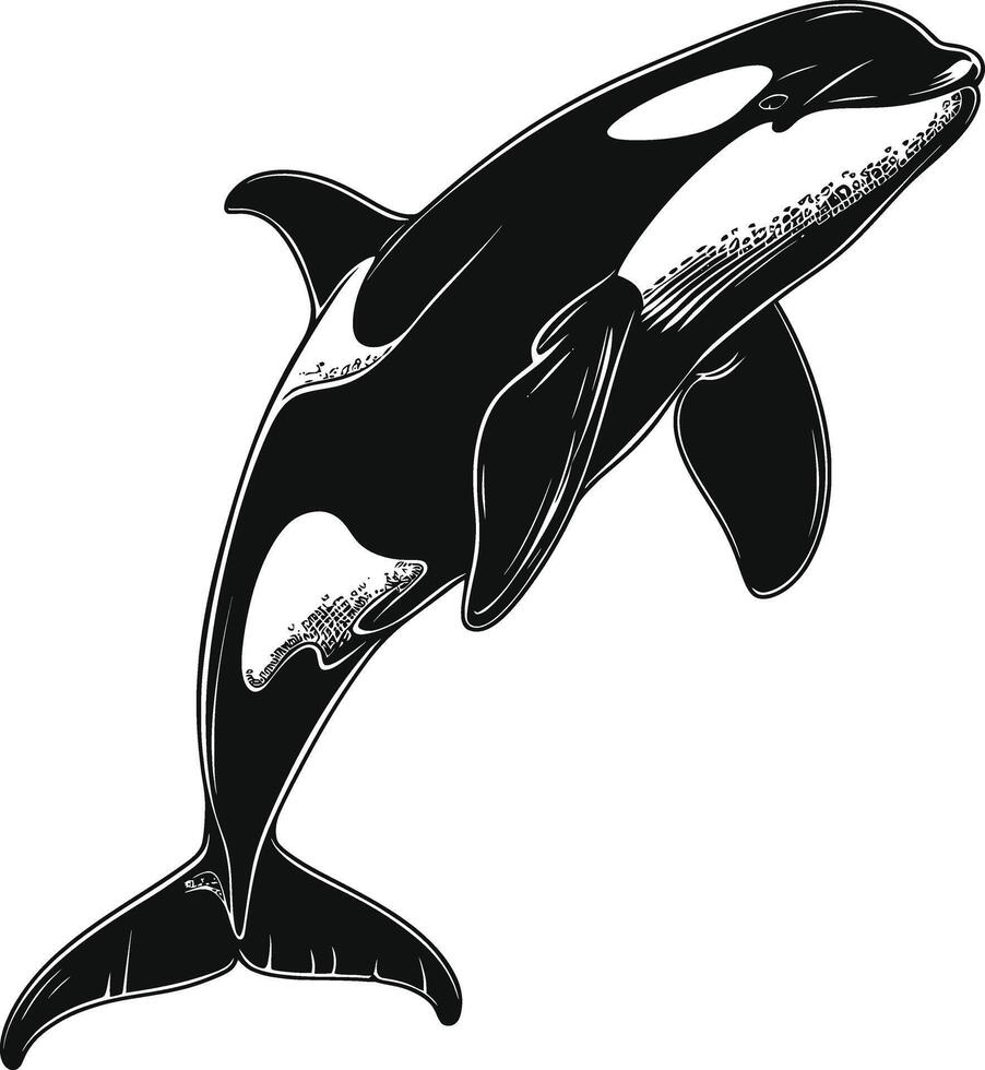 ai generiert Silhouette das Orca oder Mörder Wal schwarz Farbe nur vektor