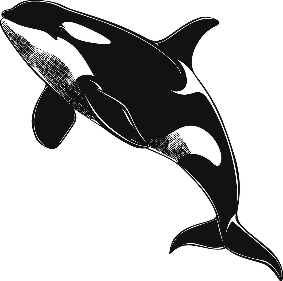 ai generiert Silhouette das Orca oder Mörder Wal schwarz Farbe nur vektor