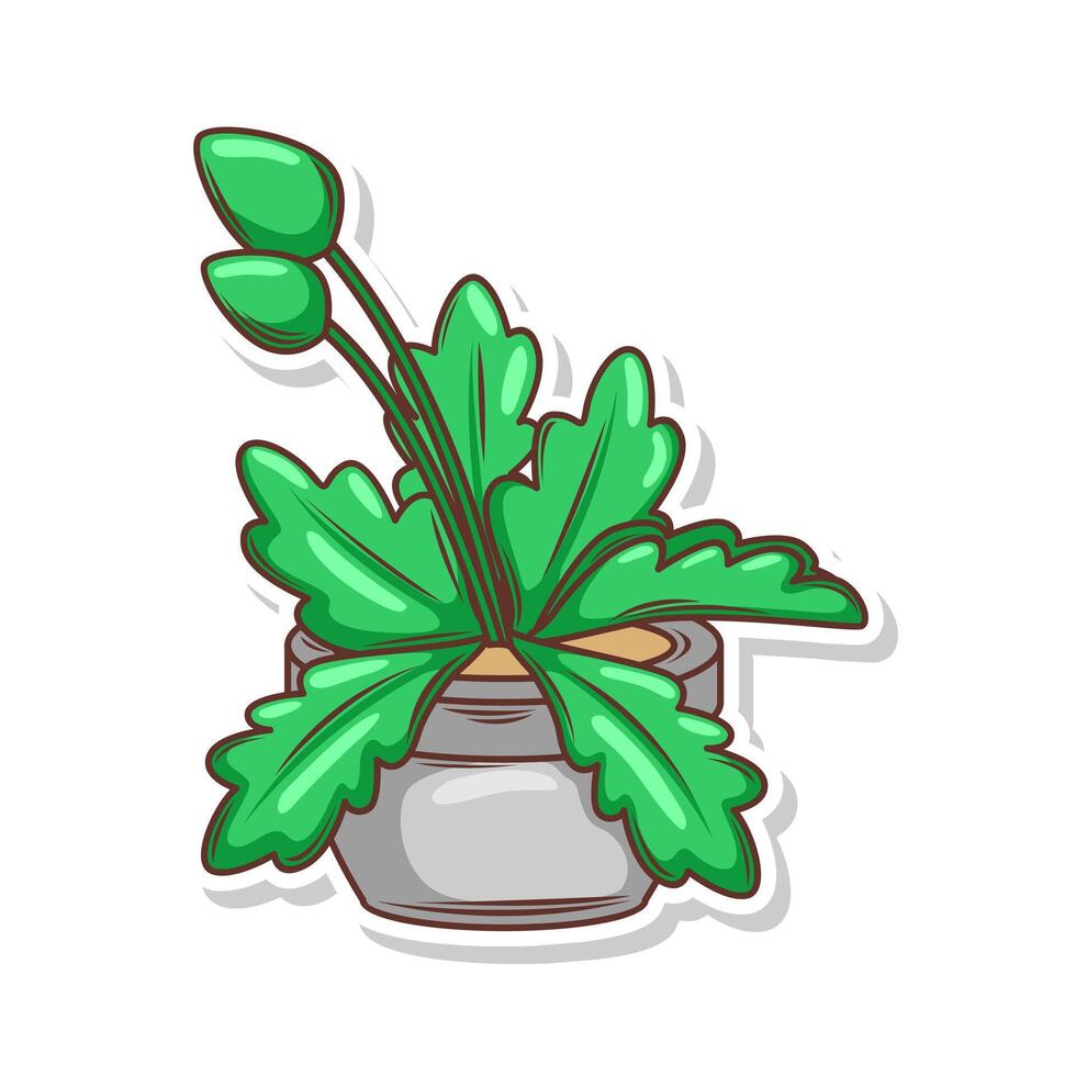 Zuhause Pflanze Karikatur Stil. eingetopft Pflanze isoliert auf Weiß vektor
