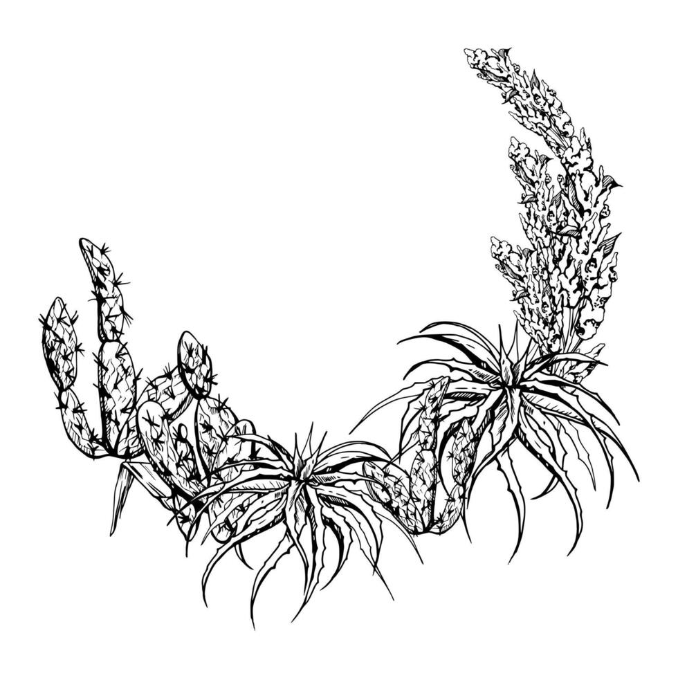 Hand gezeichnet Tinte Vektor Illustration, Natur tropisch exotisch Wüste Pflanze saftig Kaktus Aloe Agave Blätter. Kranz Rahmen isoliert Weiß Hintergrund. Design reisen, Urlaub, Broschüre, drucken, botanisch