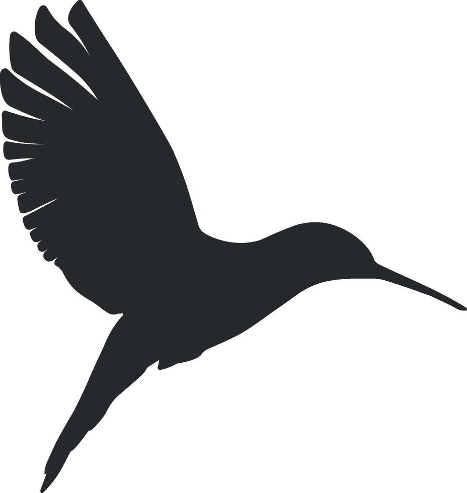 Kalibri Vogel schwarz Silhouette ohne Hintergrund vektor