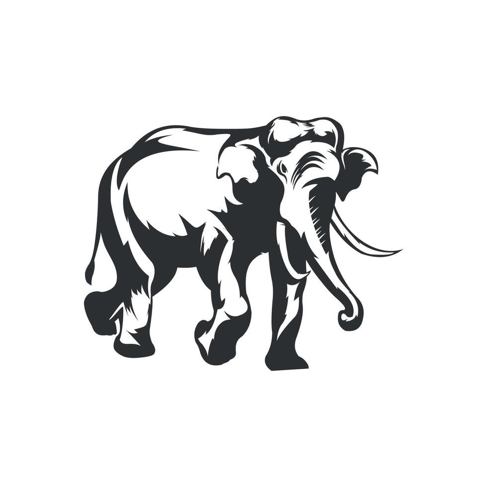 Elefant Logo Design Vektor