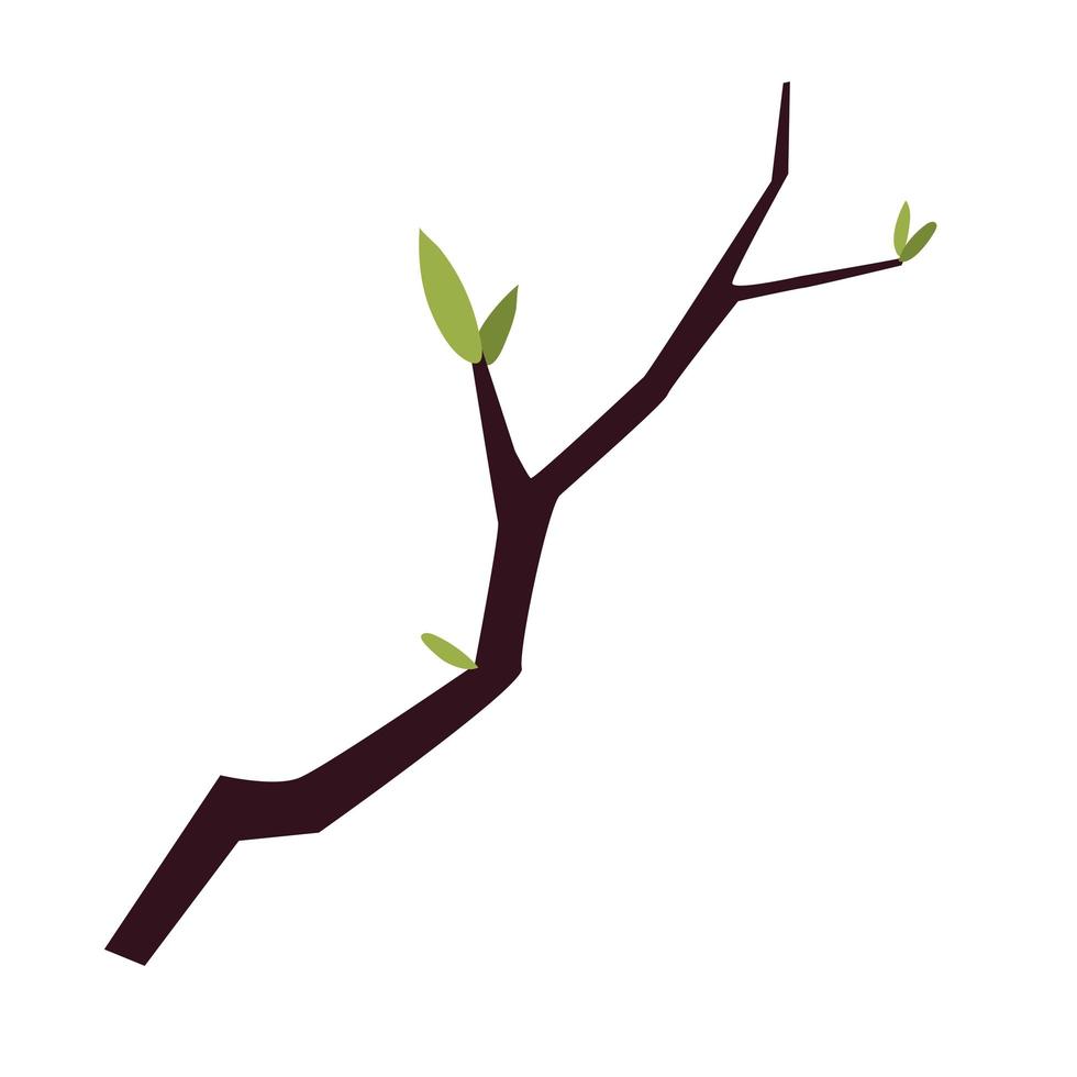 Zweig Baum Blätter Laub Cartoon, Symbol isoliertes Bild vektor