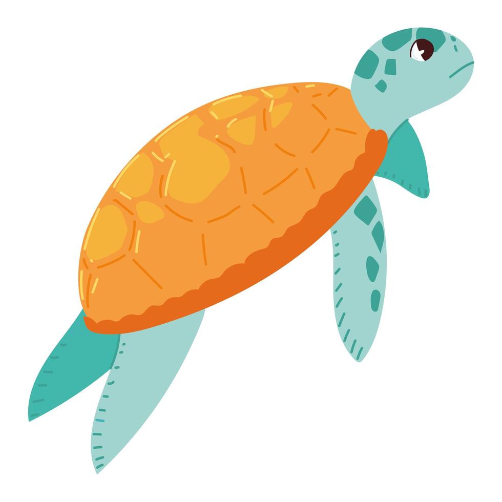söta sköldpadda djur vektor
