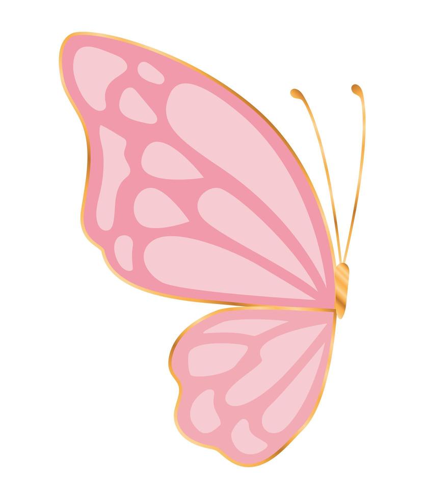 halv rosa fjäril vektor design