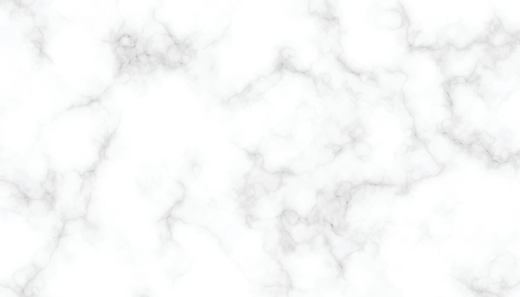 Weiß Marmor Textur Panorama luxuriös Hintergrund Muster. Weiß und schwarz Stein Keramik Kunst Mauer Innere Hintergrund Design. vektor