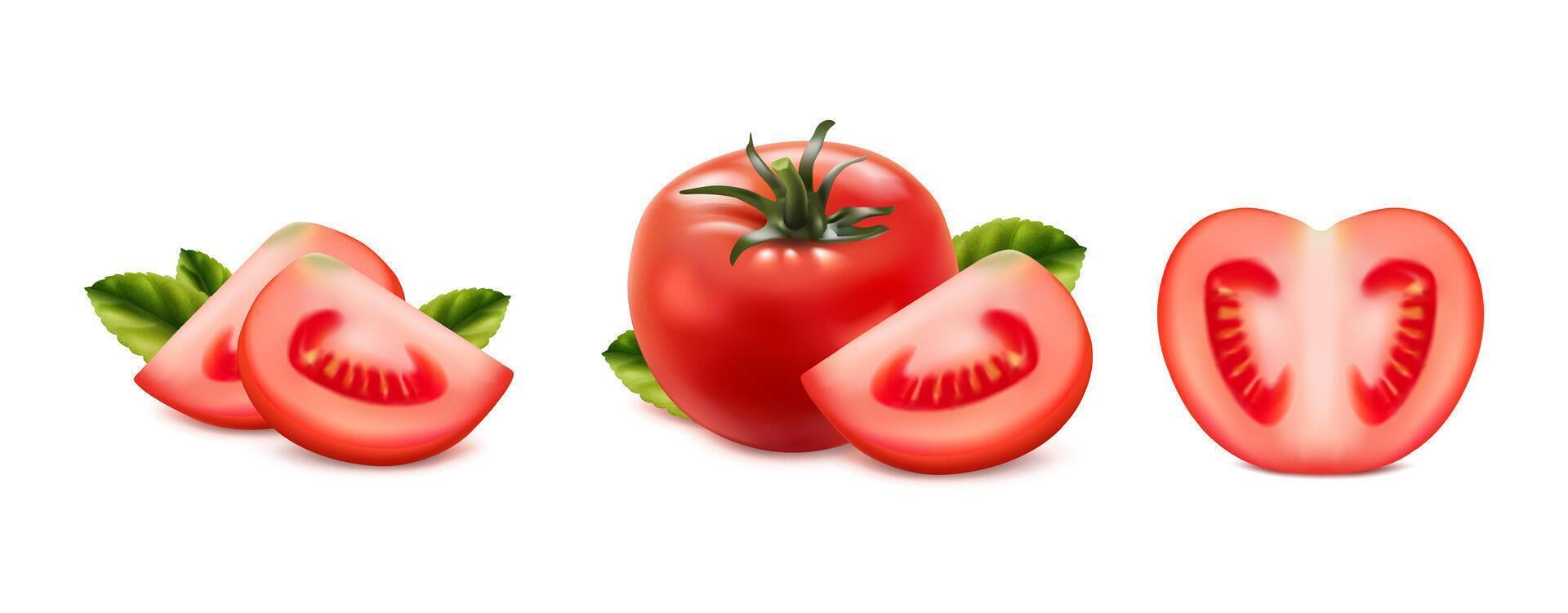 3d realistisk vektor ikon uppsättning. röd tomat hela, skära och skivad färsk tomat.