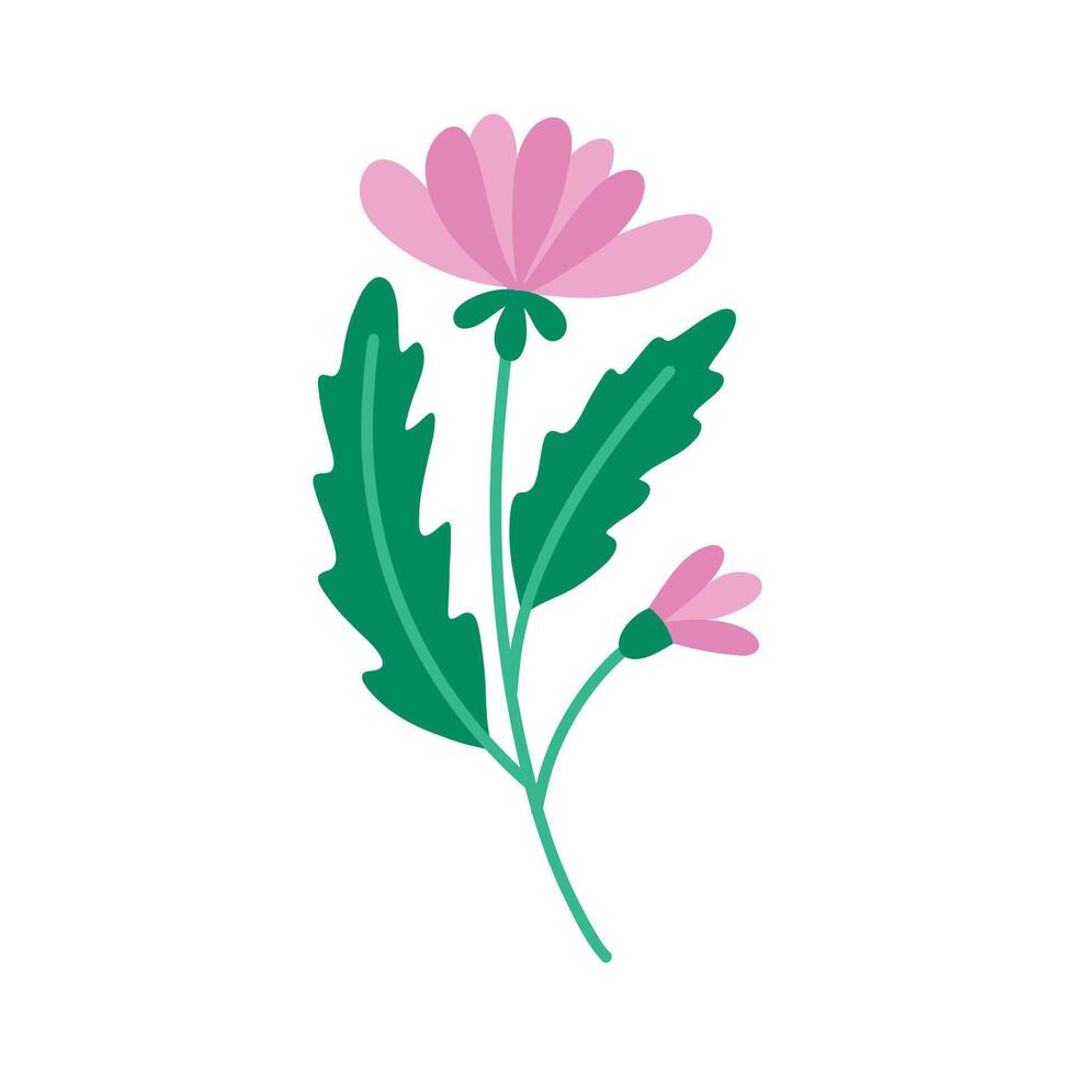 Natur Rosa Blume. botanisch Element. Blumen- Blumensträuße. Vektor Blumen.