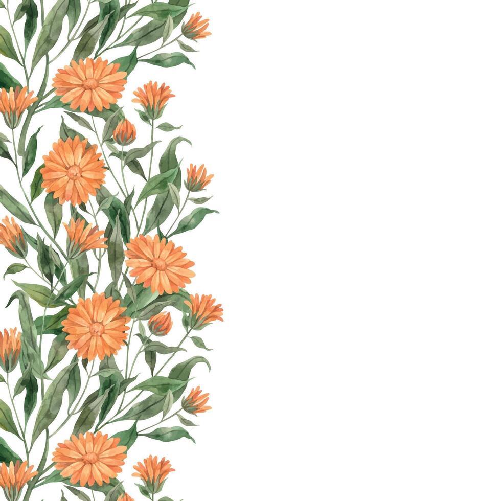 Aquarell botanisch Rahmen von Orange Ringelblume. Illustration ist Hand gezeichnet, geeignet zum Speisekarte Design, Verpackung, Poster, Webseite, Textil, Einladung, Broschüre, Textil- vektor