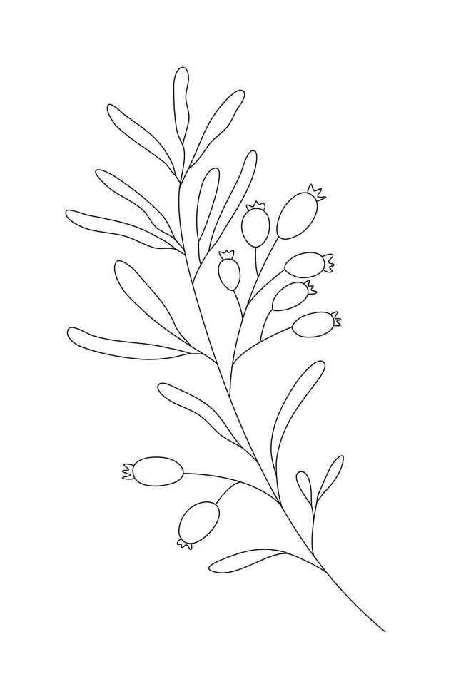 Hand gezeichnet wild Feld Flora, Blume, Kraut, Anlage, Ast. minimal Blumen- botanisch Linie Kunst. Vektor Illustration zum Logo oder Tätowierung, Einladungen, speichern das Datum Karte.