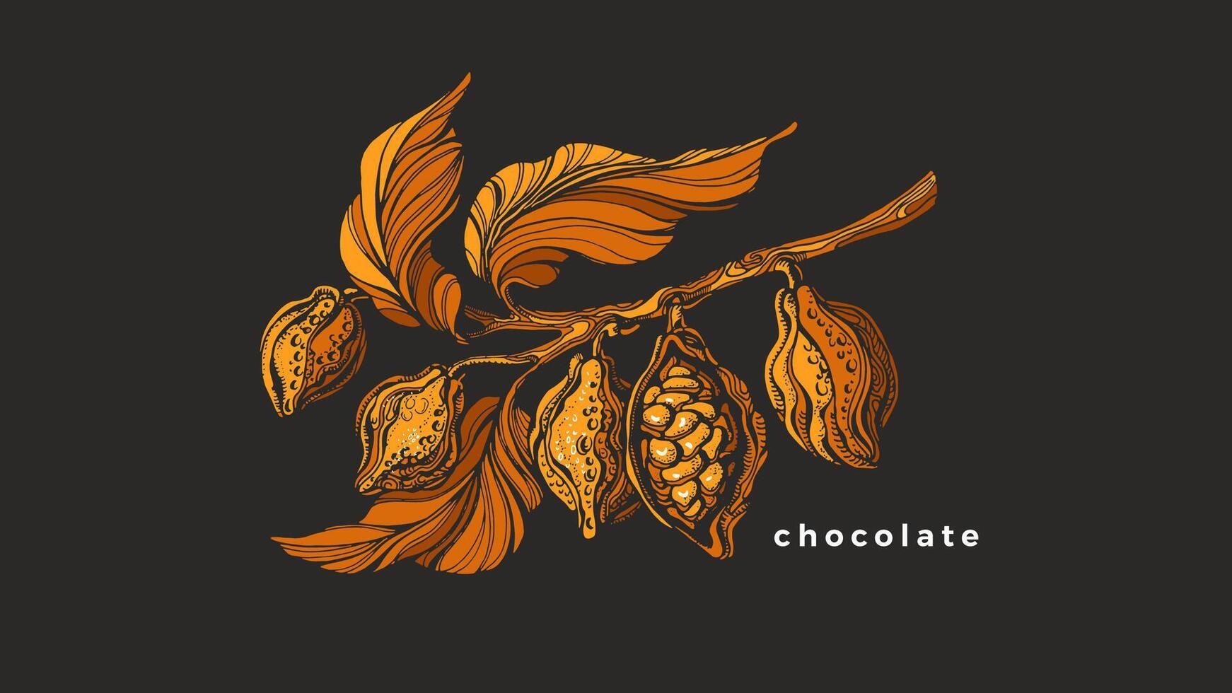 kakao träd gren. vektor gyllene blad, tropisk frukt, böna. botanisk hand dra årgång skriva ut. naturlig ljuv, choklad märka. organisk natur mat, arom dryck. tropisk sommar produkt
